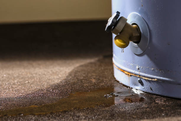 Best Professional water damage repair  in Sammamish, WA