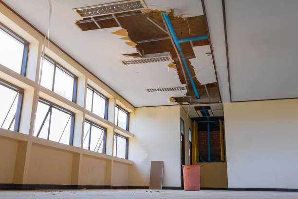Best 24-hour water damage restoration  in Sammamish, WA