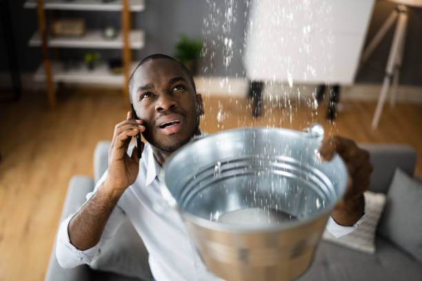 Best Water damage restoration near me  in Sammamish, WA