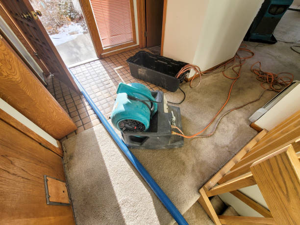 Best Water damage cleanup near me  in Sammamish, WA