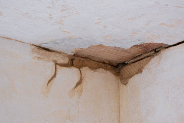 Best Mold removal after water damage  in Sammamish, WA