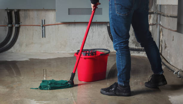 Best Carpet water damage restoration  in Sammamish, WA