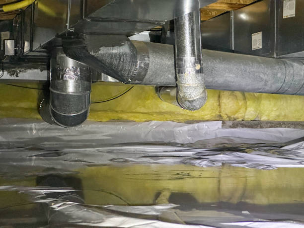 Best Water damage restoration cost  in Sammamish, WA